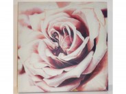 Wandbild Rose auf Leinwand 45,5 x 45,5 Sale