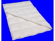 VierJahreszeiten Bett 90% Daunen 155x220 Sondergr��e